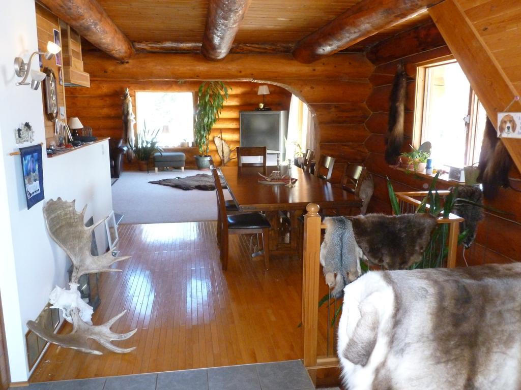 Mount Logan Ecolodge Haines Junction Rum bild