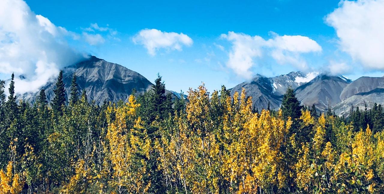 Mount Logan Ecolodge Haines Junction Exteriör bild