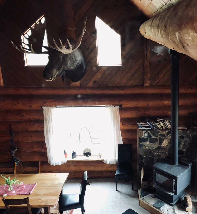 Mount Logan Ecolodge Haines Junction Exteriör bild
